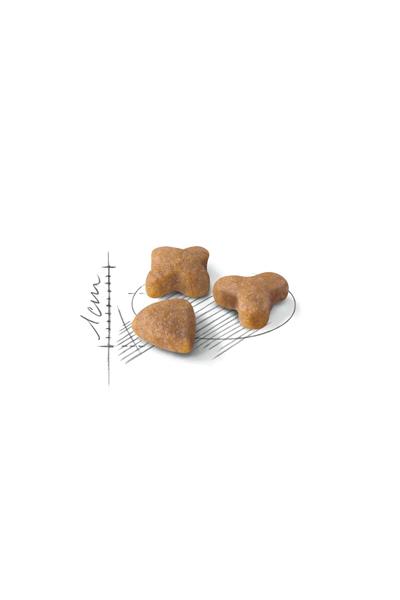 Sensible33 Sindirim Hassasiyeti Olan Kediler Için Yetişkin Kuru Kedi Maması 15kg