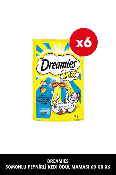 Somonlu Peynirli Kedi Maması 60 gr 6x