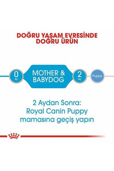Starter Mother Babydog Yavru Köpek Konservesi 195 Gr