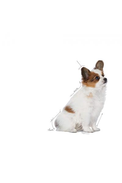 Xsmall Puppy Çok Küçük Irklar Için Yavru Kuru Köpek Maması 500g