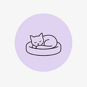 Kedi Yatakları