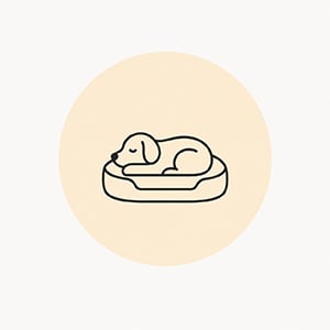Köpek Yatakları