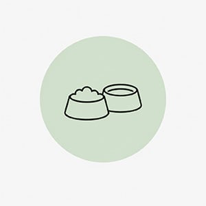Mama & Su Kapları