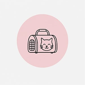 Kedi Çantaları