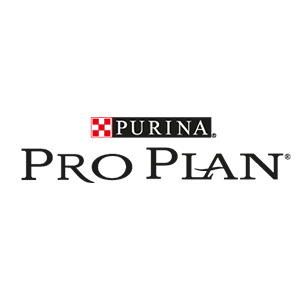 Pro Plan