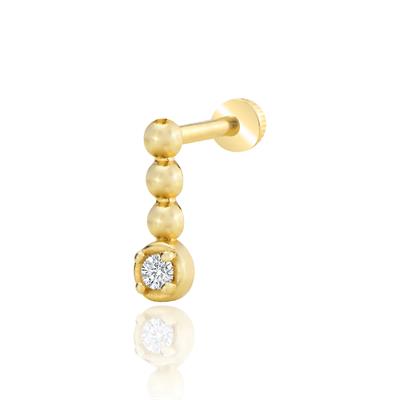 3lü tohum tektaş tragus piericng