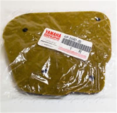 BWS 100 HAVA FİLTRESİ