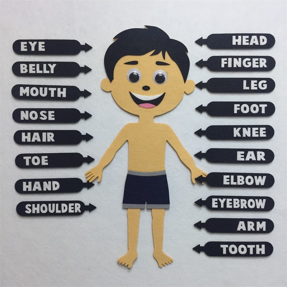 BODY PARTS TOMMY