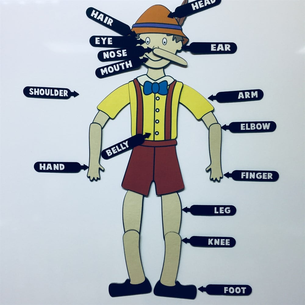 PİNOKYO BODY PARTS