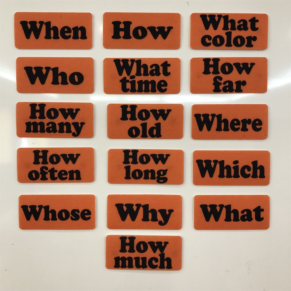 WH QUESTIONS 16 ADET