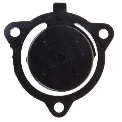 Palmera PA250T, PA2T0 Benzinli Su Motoru Klepe