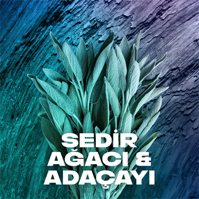 Axe Apollo Erkek Deodorant Sprey 150 ml