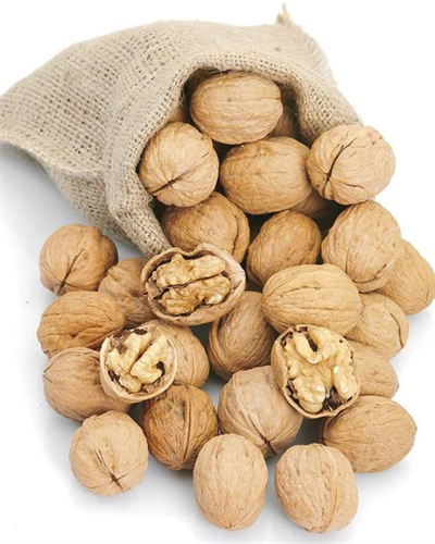 KABUKLU CEVİZ 1 KG