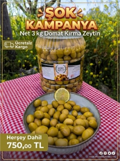 5 LT BİDON DOMAT KIRMA ZEYTİN KAMPANYASI