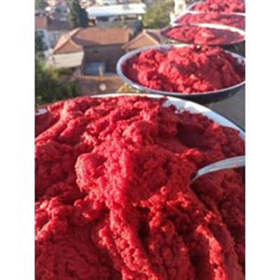 GÜN KURUSU KARIŞIK SALÇA