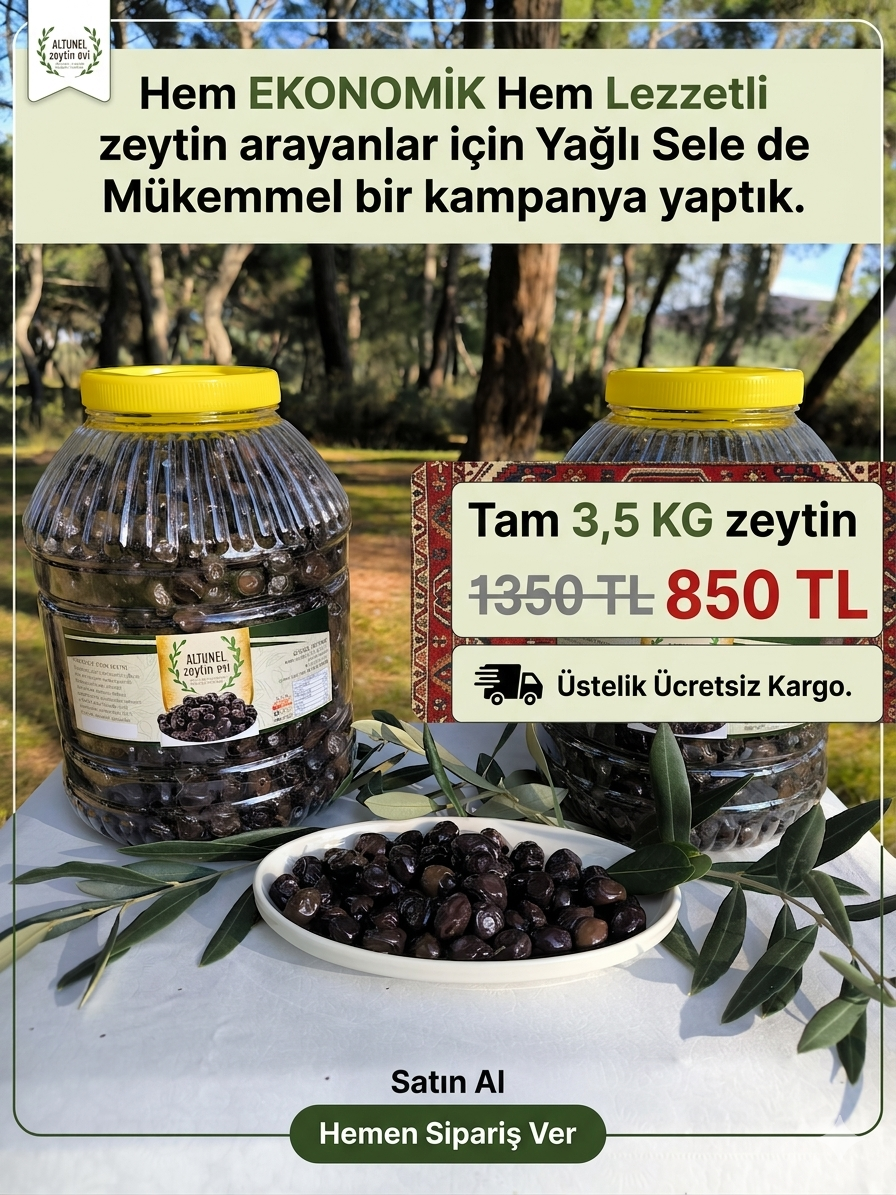 /kampanyali-5-litre-bidon-yagli-sele-