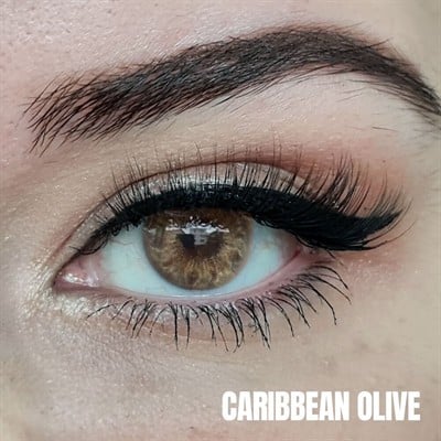 CARIBBEAN OLIVE