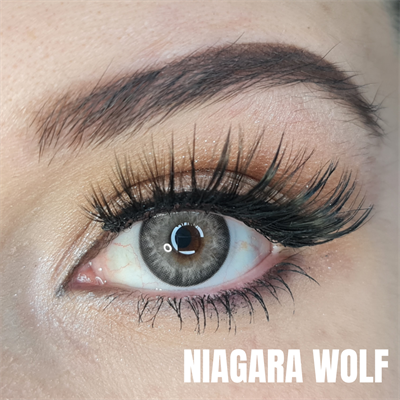 FXEYES ÜÇ AYLIK LENSLER NİAGARA WOLF KOYU GRİ