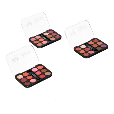 12 Renk Far Paleti - 3lü Set