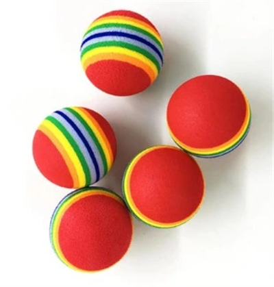 2 ADET GÖKKUŞAĞI RENKLI KEDI KÖPEK OYUN TOPU