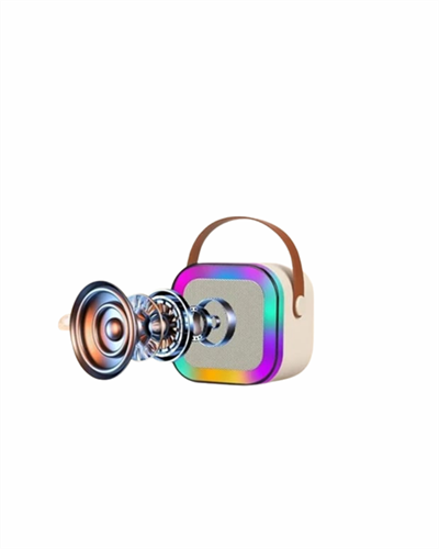 2 MİKRAFONLU SPEAKER