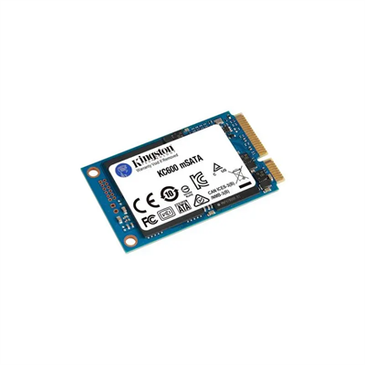 256 GB KINGSTON MSATA SKC600MS/256G 550/500M