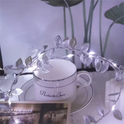 3 Metre Yaldızlı Gümüş LED Işık