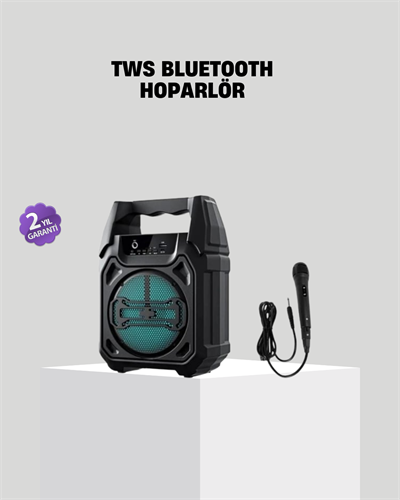 6.5 İnç Bluetooth Hoparlör Mikrofonlu Taşınabilir Karaoke ve Parti Sistemi