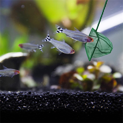 Akvaryum Balık Kepçesi 15 CM