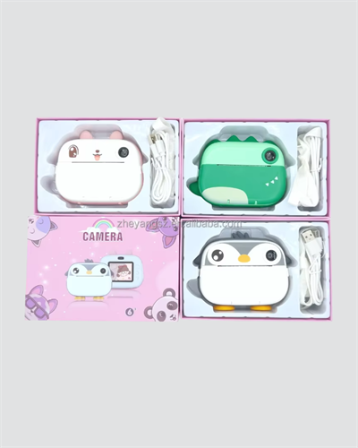 Anında Baskı ve Yüksek Çözünürlüklü Çift Lensli Fotoğraf Makinesi