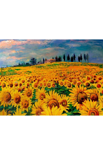 Ayçiçek Tarlası Canvas Tablo (50x70)