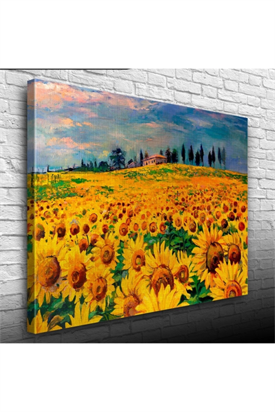 Ayçiçek Tarlası Canvas Tablo (50x70)