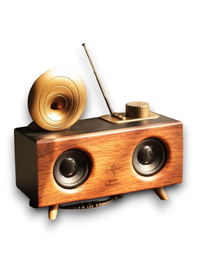 B6 SPEAKER HOPARLÖR