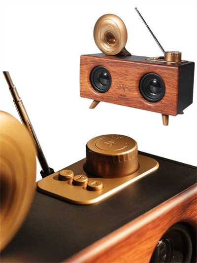 B6 SPEAKER HOPARLÖR