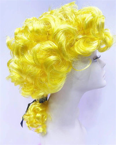 Barok Dönem Yargıç Peruğu