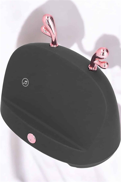 Bluetooth Hoparlör Telefon Tutuculu Akıllı Hoparlör Uzun Pil Ömrü