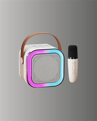 Bluetooth Karaoke Mikrofon ve Hoparlör Seti Taşınabilir