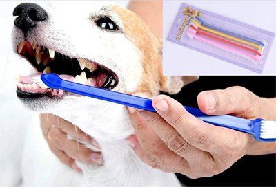 ÇIFT TARAFLI HAYVAN DIŞ FİRÇASI 4 LÜ SET