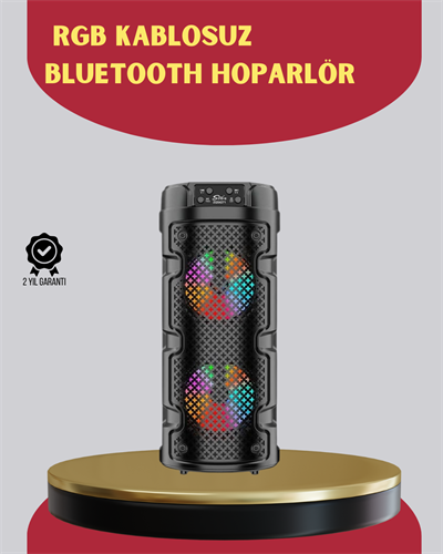 Çift Sürücülü Taşınabilir Kablosuz Hoparlör
