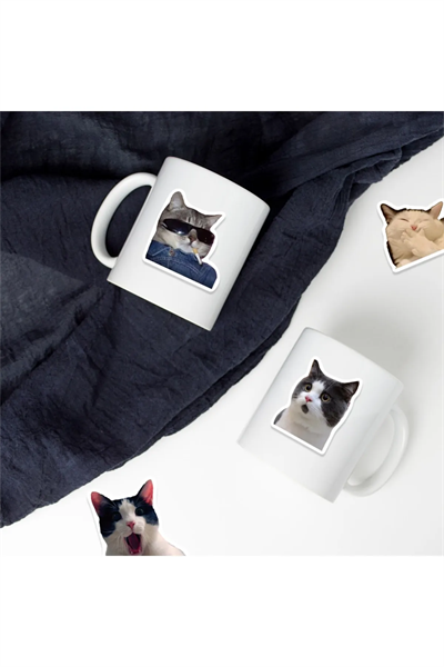 Çılgın Kediler Macbook Notebook Tablet Telefon Ajanda Laptop Defter Sticker Seti