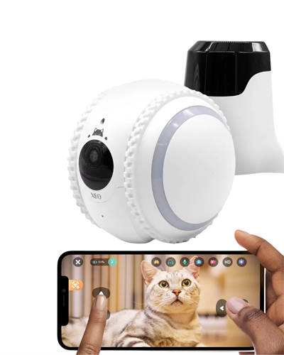 Çok Fonksiyonlu Yapay Zekalı Takip Kamerası Mobil Uygulama ve Canlı İzleme