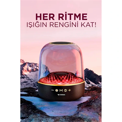 D33 Siyah Taşınabilir Kablosuz Bluetooth Hoparlör