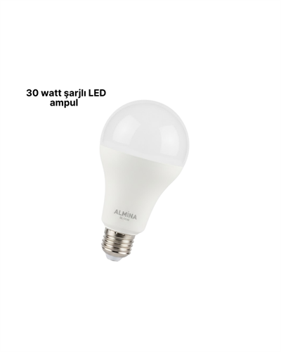 DL-2030 Şarjlı LED Ampul