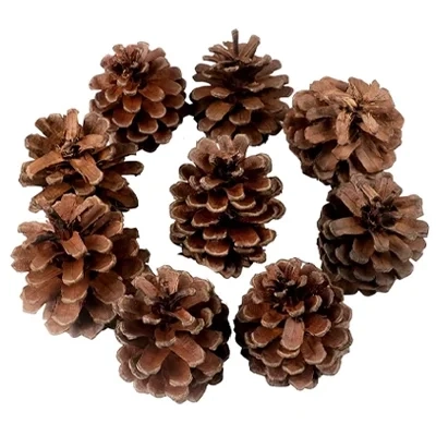 Dekoratif Çam Kozalak Süs - 250gr -