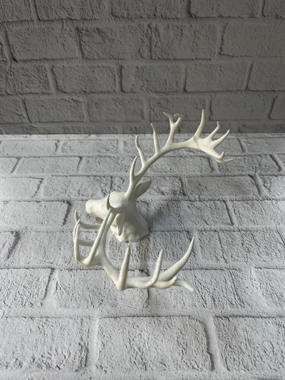 Dekoratif Geyik Başı Heykel 25 cm Modern Minimal Tasarım