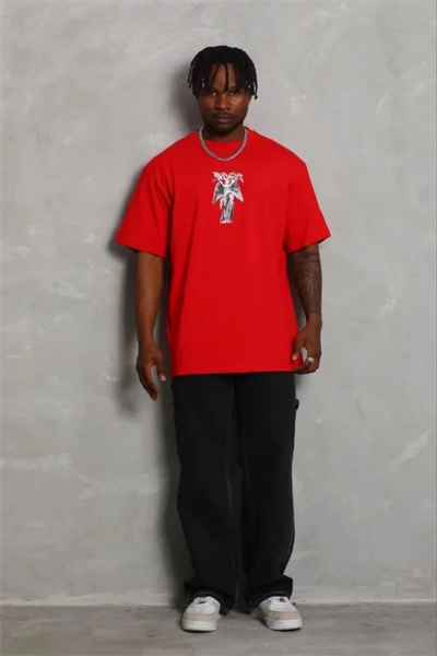 Erkek Baskılı T-Shirt Kısa Kol Bisiklet Yaka Regular Fit Rahat Kalıp Günlük Tişört - Kırmızı