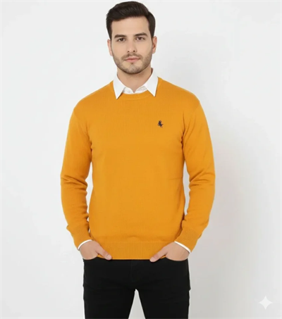 Erkek Bisiklet Yaka Nakış Işlemeli Triko Kazak Yumuşak Dokulu Pamuklu Ince Dokuma, Uzun Kollu Rahat Regular Kalıp - Turuncu