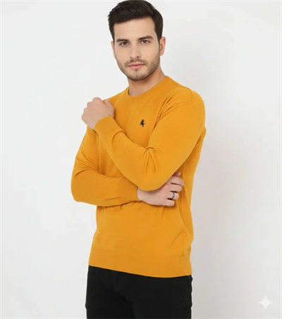 Erkek Bisiklet Yaka Nakış Işlemeli Triko Kazak Yumuşak Dokulu Pamuklu Ince Dokuma, Uzun Kollu Rahat Regular Kalıp - Turuncu