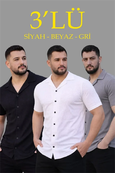 Erkek Waffle Dokuma Açık Yakalı Düğmeli Regular Kalıp 3’lü Gömlek Seti - Siyah, Beyaz, Gri