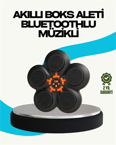 Ev Tipi Akıllı Boks Duvar Paneli Müzikli Bluetoothlu Refleks Geliştirme Cihazı